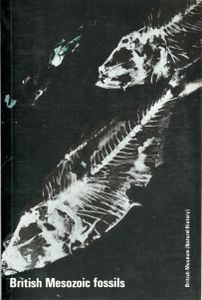 British Mesozoic fossils