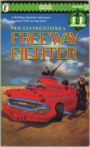 Freeway Fighter