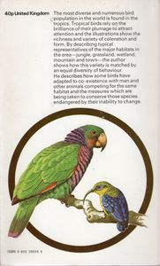 Tropical Birds