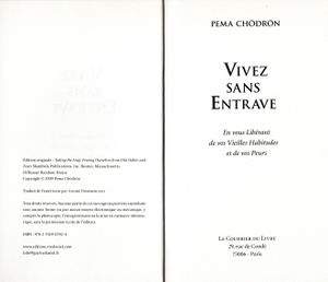 Vivez Sans Entrave. En Écartant Vos Peurs Et Conditionnements.