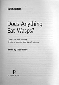 Does Anything Eat Wasps?