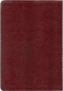 Holman Christian Standard Bible (Holman UltraThin Large Print Reference Bible)