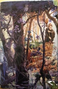 The Enchanted Forest Chronicles