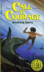 Call It Courage