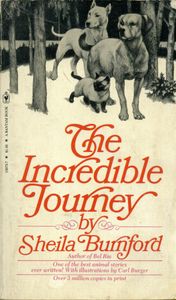 The Incredible Journey