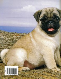 Pugs