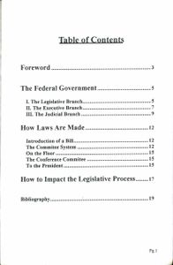 Government 101 (A Beginner's Guide To The Federal Government)