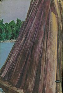 Huckleberry Finn
