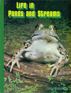 Life In Ponds And Streams