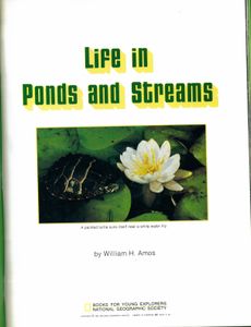 Life In Ponds And Streams