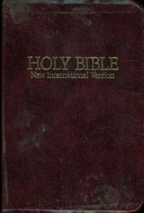 Holy Bible (New International Version)