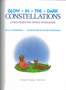 Glow In The Dark Constellations (A Field Guide For Young Stargazers)