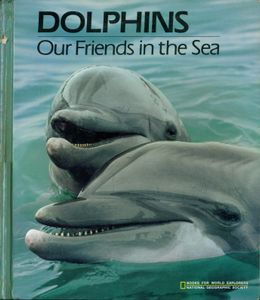 Dolphins Our Friends In The Sea