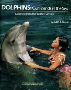 Dolphins Our Friends In The Sea
