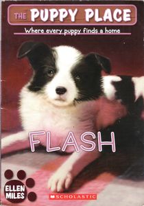 Flash