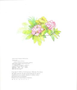 Wonders of Plants and Flowers