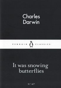 It Was Snowing Butterflies