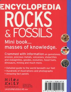 Mini Encyclopedia: Rocks & Fossils