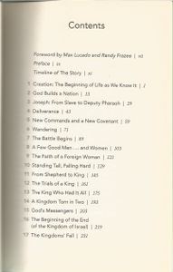 The Story (The Bible As One Continuing Story Of God And His People)