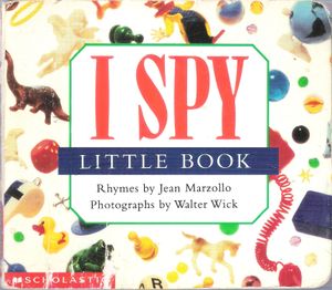 I Spy Little Book