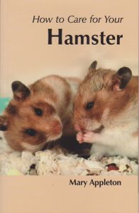 How To Care For Your Hamster