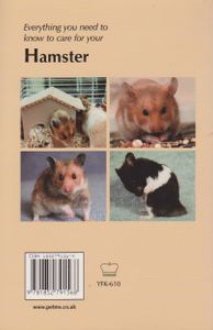 How To Care For Your Hamster
