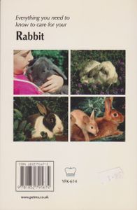 How To Care For Your Rabbit