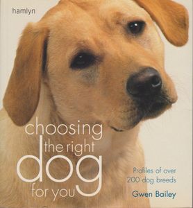 Choosing the Right Dog For You