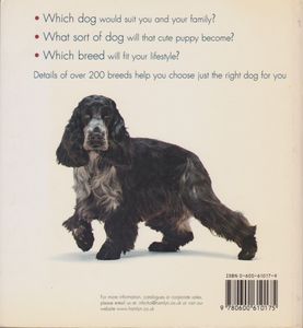 Choosing the Right Dog For You