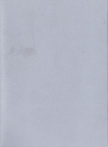 Poemas Escurridos