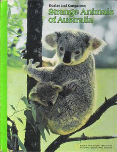 Strange Animals Of Australia (Koalas And Kangaroos)