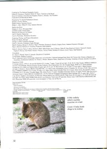 Strange Animals Of Australia (Koalas And Kangaroos)