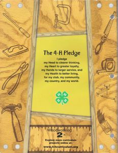 Making the Cut: Woodworking Youth Activity Guide