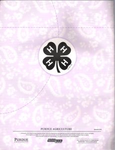 Sew Simple (4-H Sew Much Fun • Level A)
