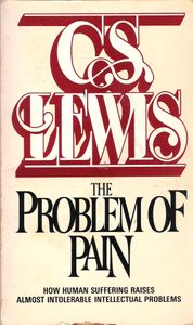 The Problem Of Pain