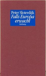 Falls Europa erwacht. Gedanken zum Programm einer Weltmacht am Ende des Zeitalters ihrer politischen Absence