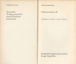 Politische Schriften III - Politische Texte