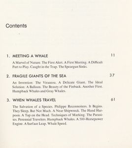 The Whale: Mighty Monarch of the Sea