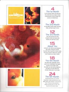 As Your Baby Grows (From Conception To Birth)