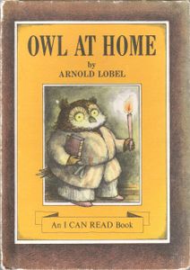 Owl At Home