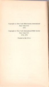 The Great News (The New Testament) (New International Version)