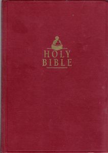 Holy Bible (Children's Ministry Resource Edition) (New King James Version)