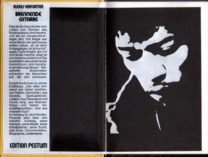 Brennende Gitarre - Ist Jimi Hendrix wirklich tot?