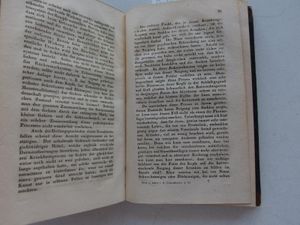 Beiträge zur Lehre von den Geisteskrankheiten