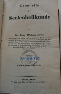 Grundriss der Seelenheilkunde. 2. Theil