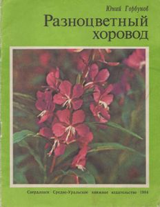 Разноцветный Хоровод