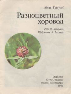 Разноцветный Хоровод
