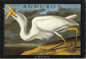 Audubon