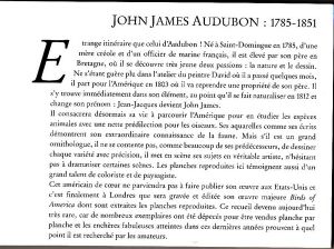 Audubon
