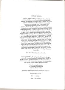 The Book of Fascinating Facts